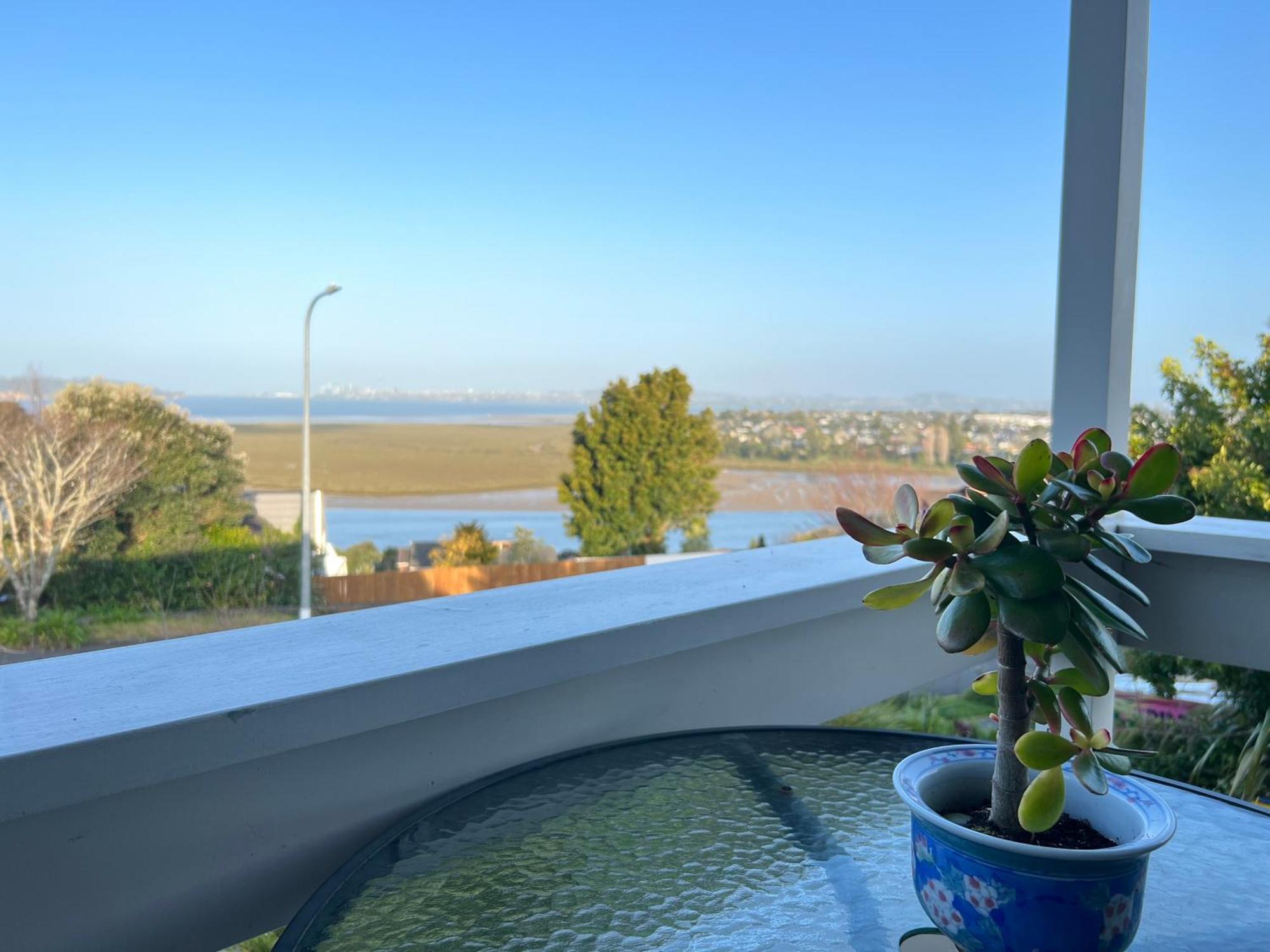 Auckland Sea&Skytower View Homestay With Free Netflix, Parking Buitenkant foto